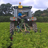 J&A Growers 